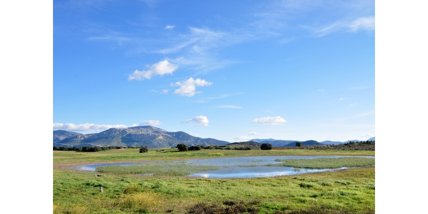 Doce meses, doce humadales de Campillos. Febrero: Laguna de Panza